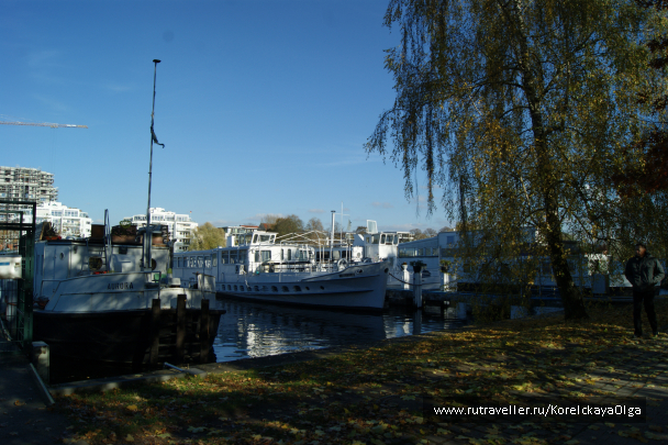 photo 1288589