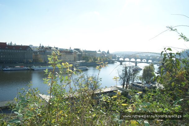 photo 1288823