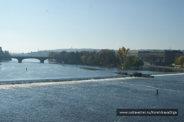 photo 1288841