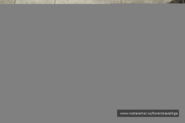 photo 1288844