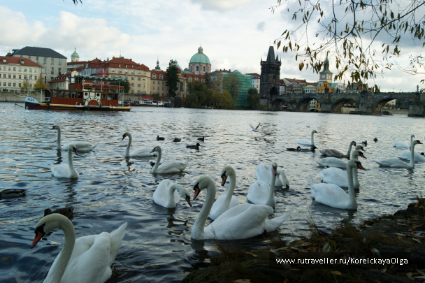 photo 1288852