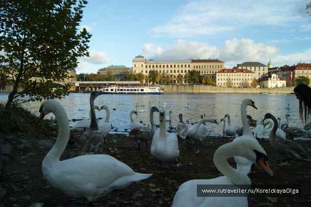 photo 1288854
