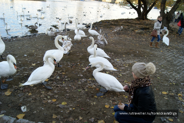 photo 1288856