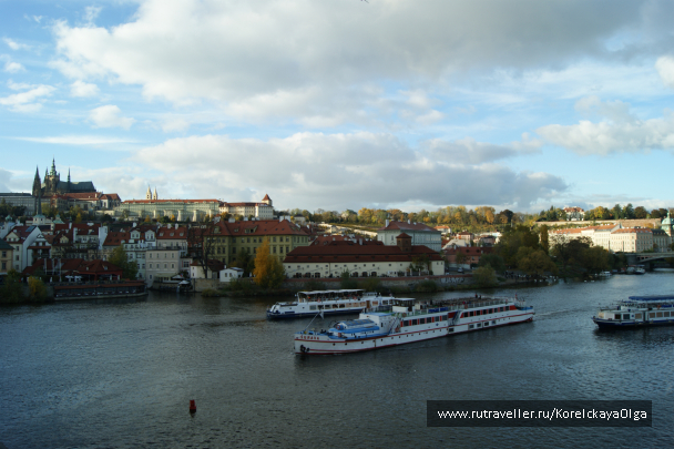 photo 1288858
