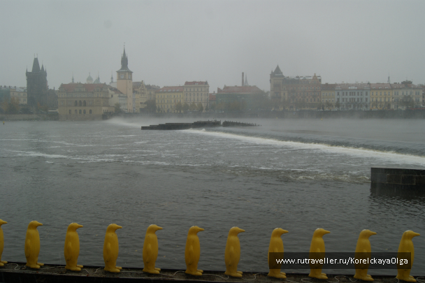 photo 1288879