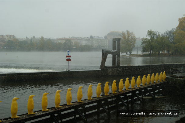 photo 1288880