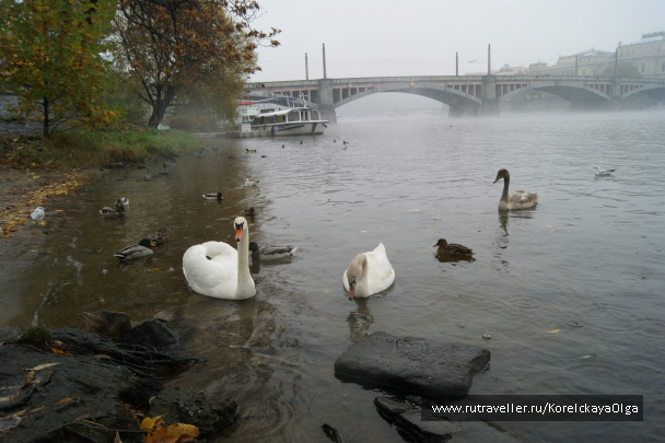 photo 1288882