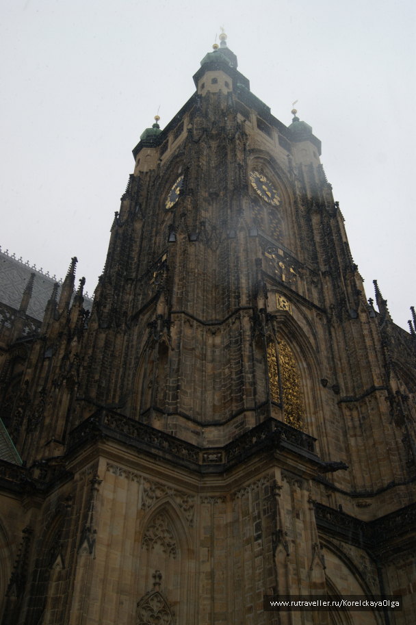 photo 1288883