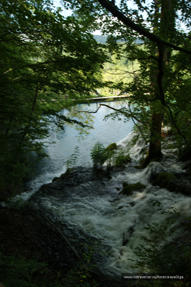 photo 1328420