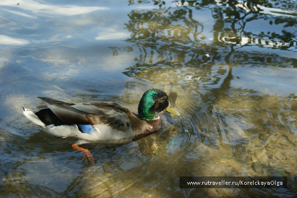 photo 1328426