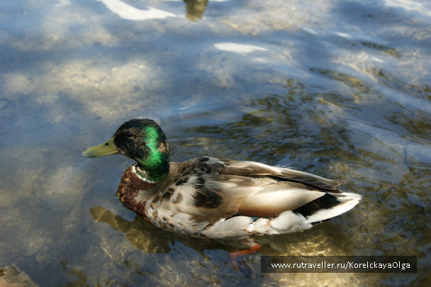photo 1328427