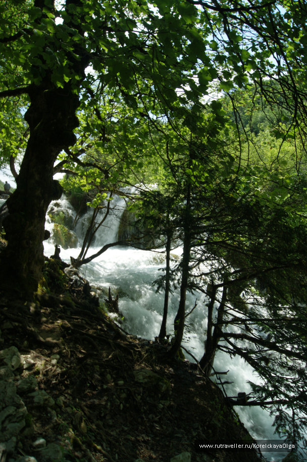 photo 1328439