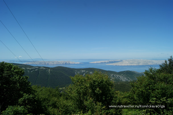photo 1328457