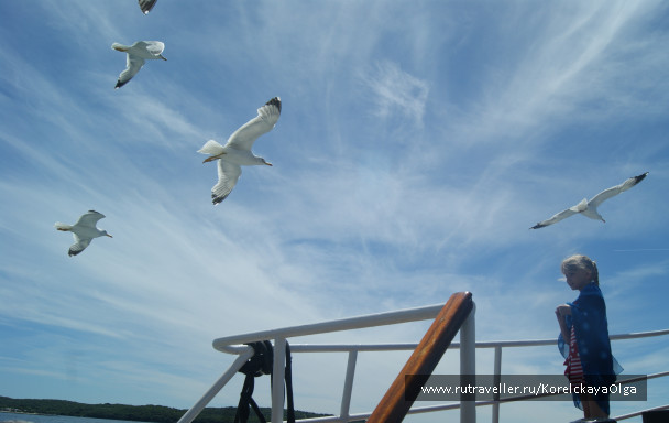 photo 1329124