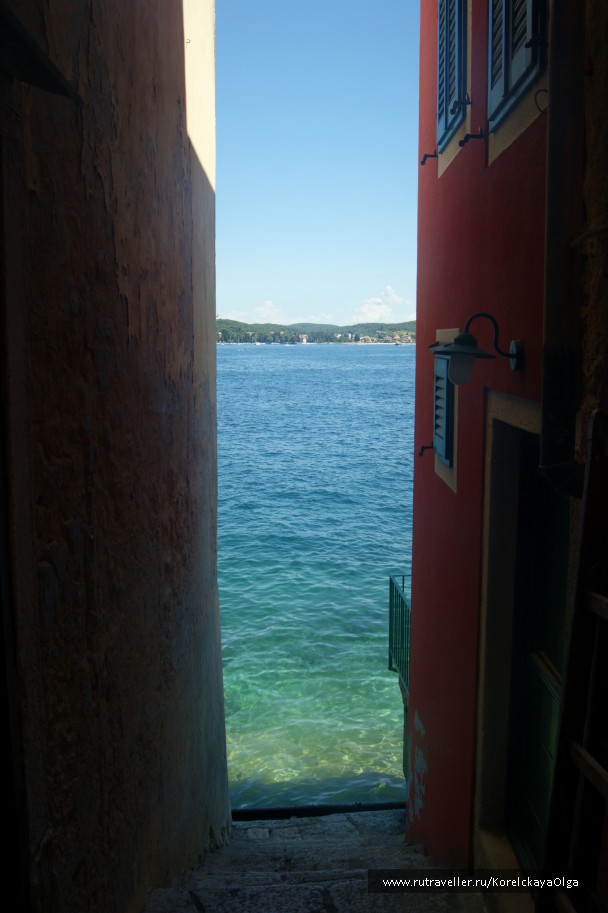 photo 1329159
