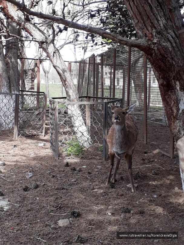 photo 1640604