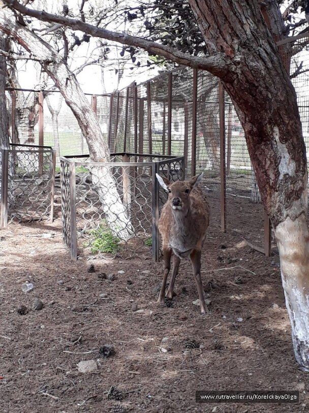 photo 1640618