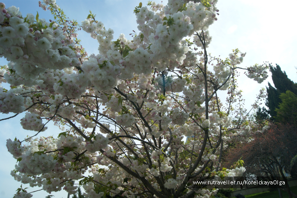 photo 1640650