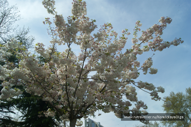 photo 1640651