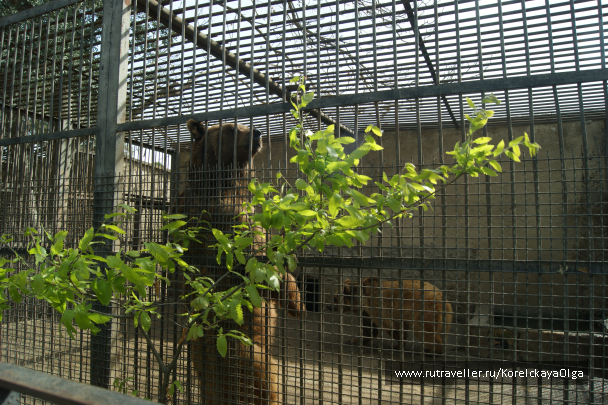 photo 1640667