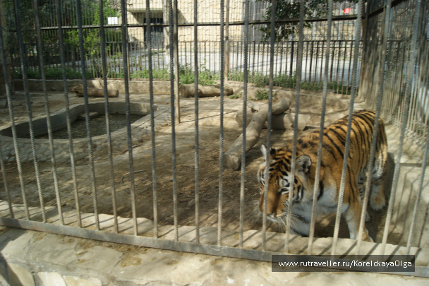 photo 1640669