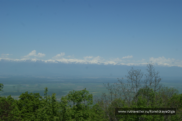 photo 1641786