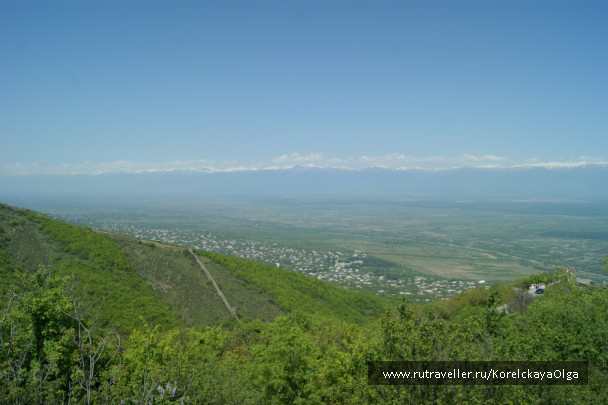photo 1641794