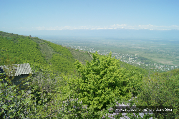 photo 1641795