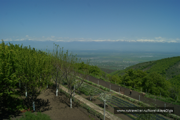 photo 1641798