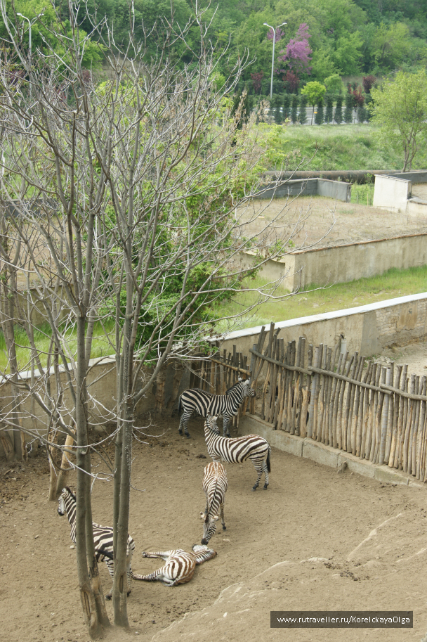 photo 1641814