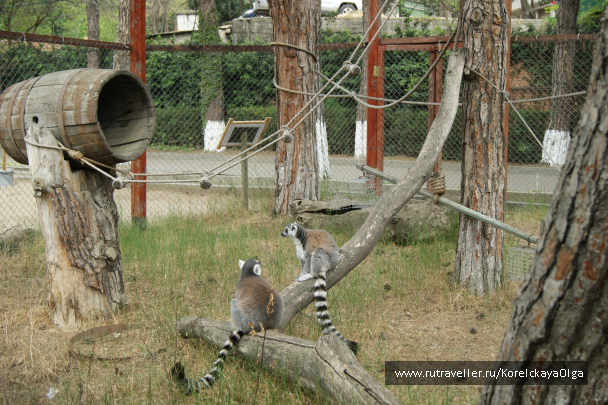 photo 1641815