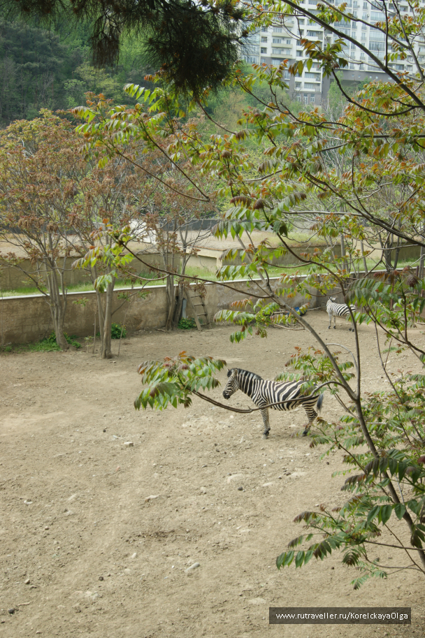 photo 1641816