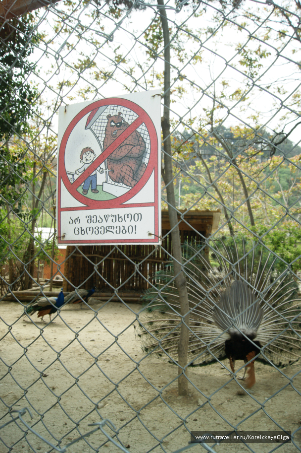 photo 1641817