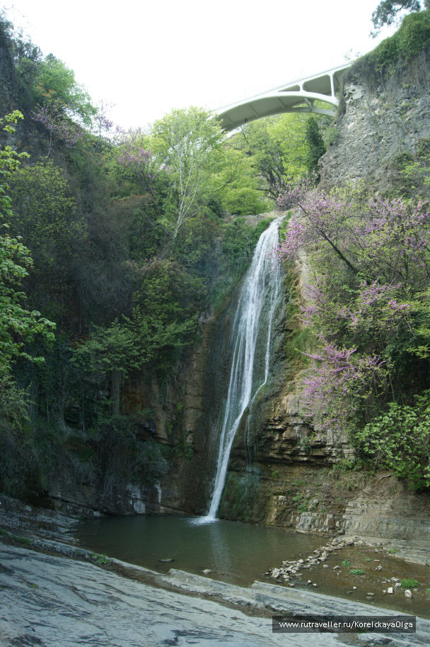 photo 1641825