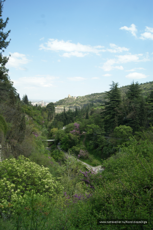 photo 1641827
