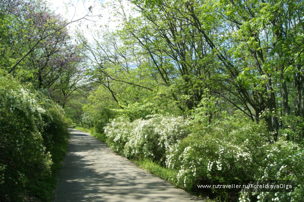 photo 1641832