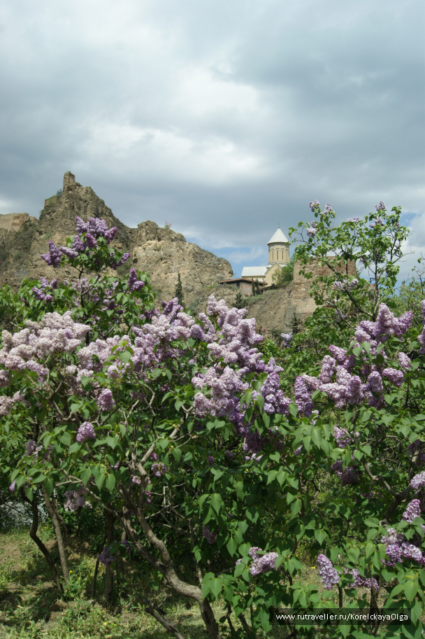 photo 1641835