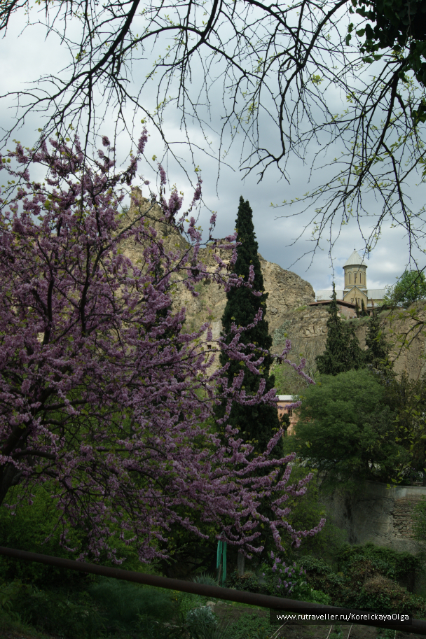 photo 1641836
