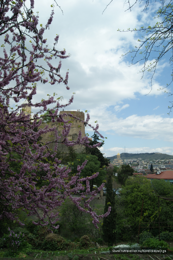 photo 1641837