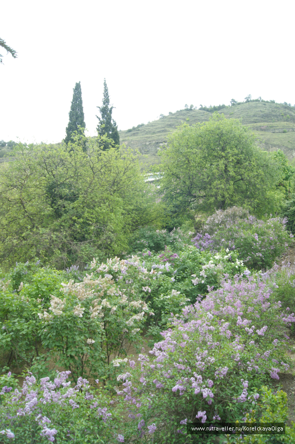 photo 1641839