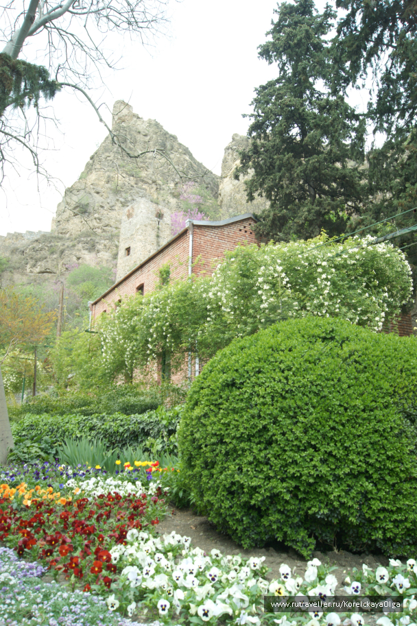photo 1641841