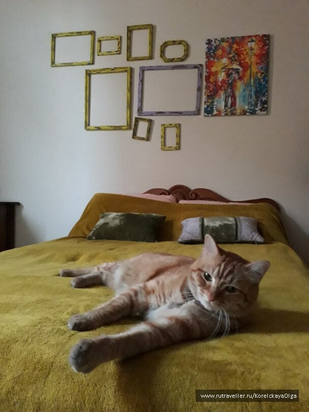 photo 1642370