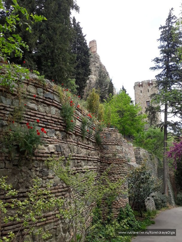 photo 1642373