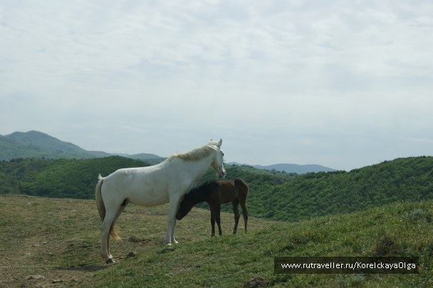 photo 1642396