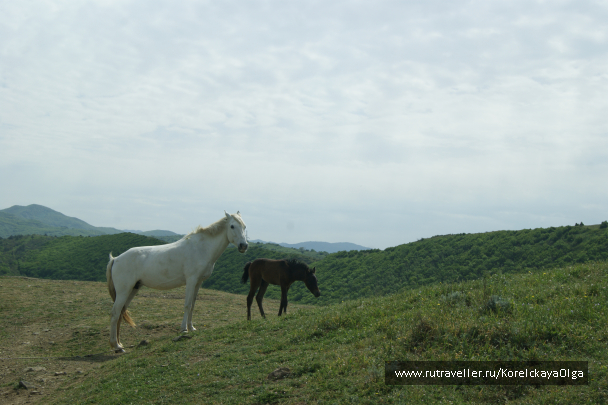 photo 1642397