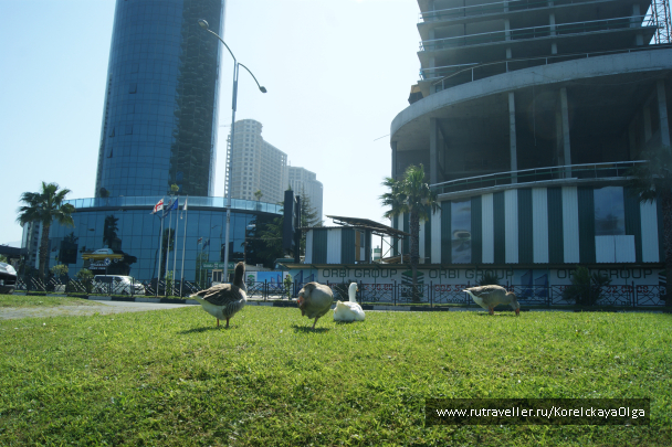 photo 1641926