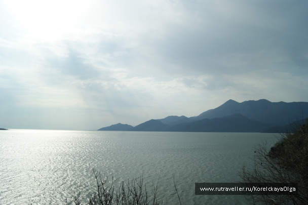 photo 1755872