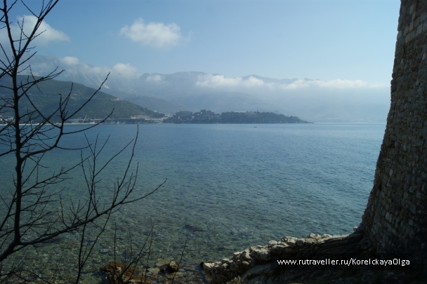 photo 1755884