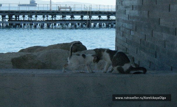 photo 1816964