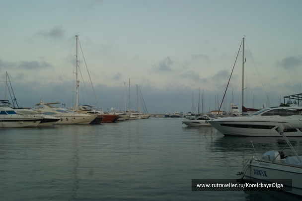 photo 1816971